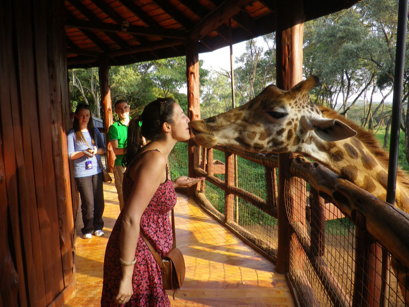 Giraffe Center Tour