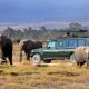 Masai Mara Game Reserve