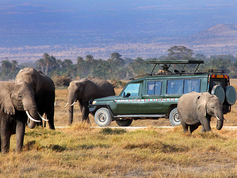 Masai Mara Game Reserve